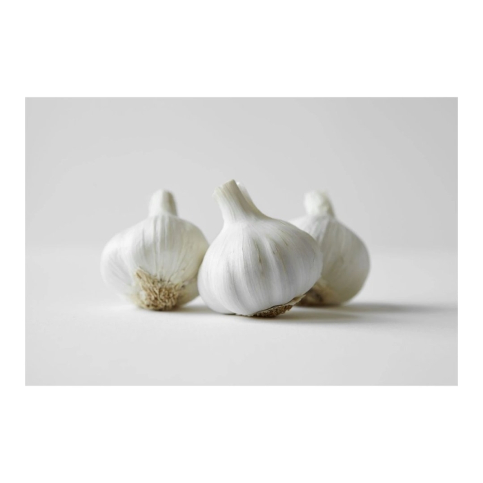 Чеснок белый