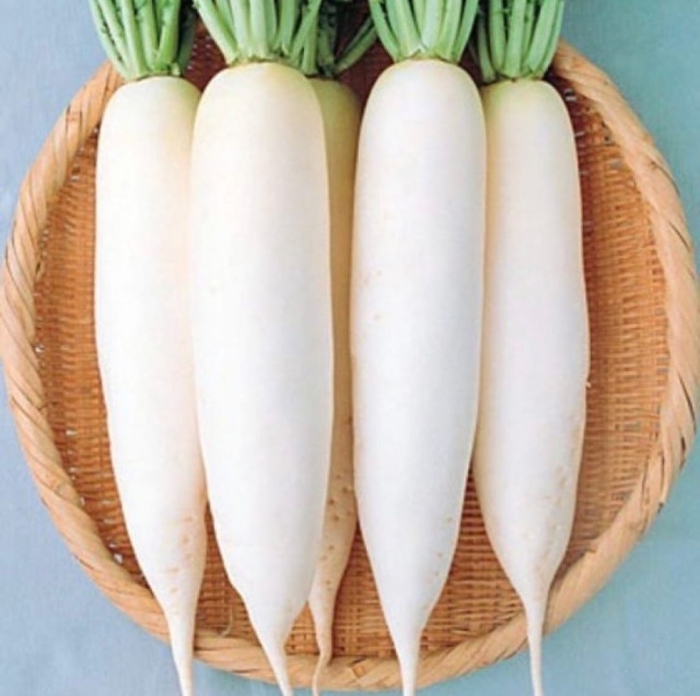 Редька дайкон полезные