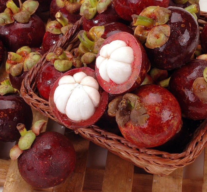 Мангостан мангустин