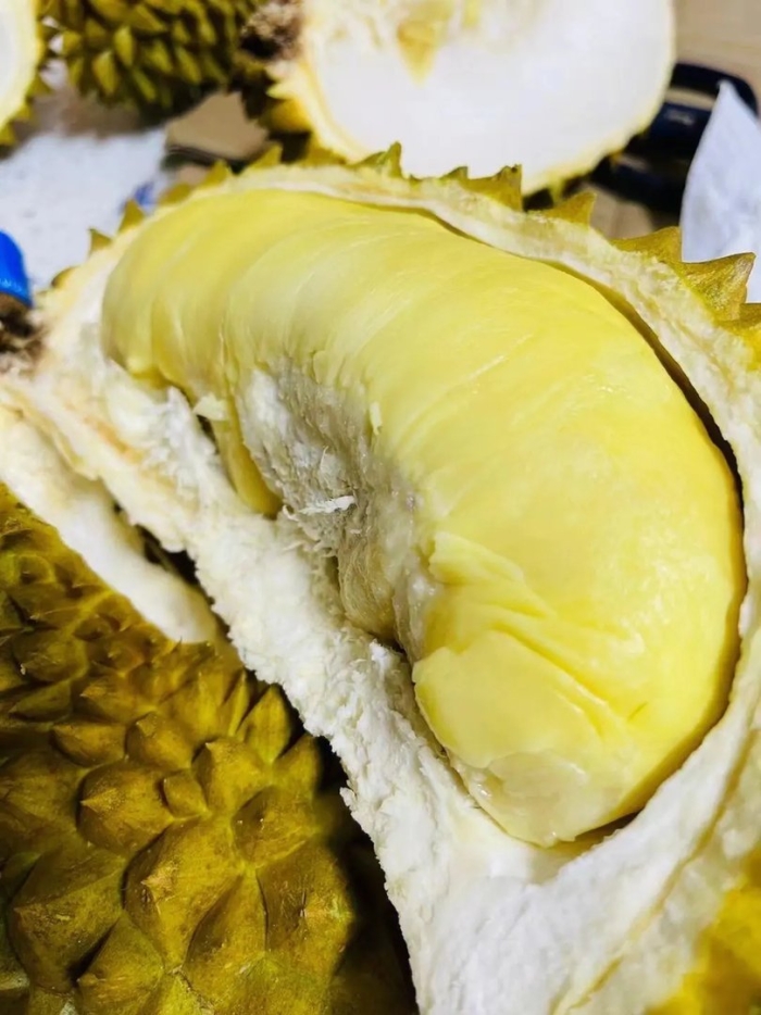 Дуриан цибетиновый