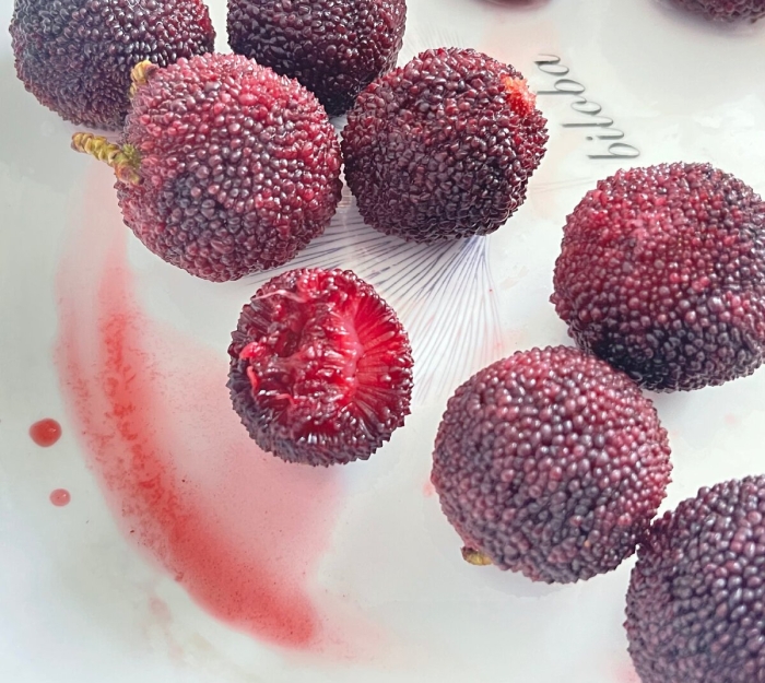 Китайская клубника восковница