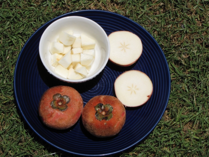 Хурма бланко