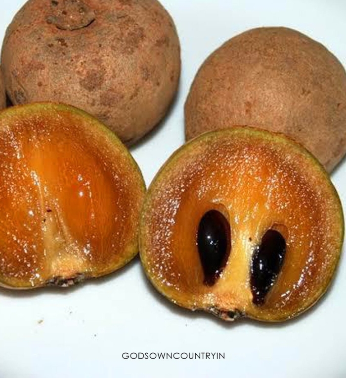 Саподилла тайланд