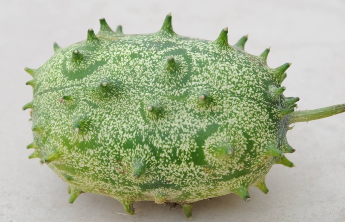 Кивано рогатая дыня