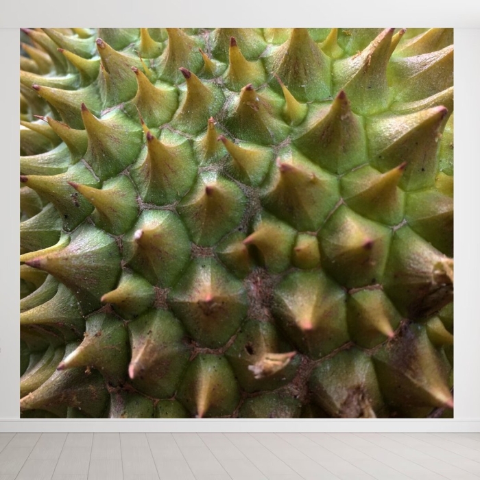 Колючие фрукты