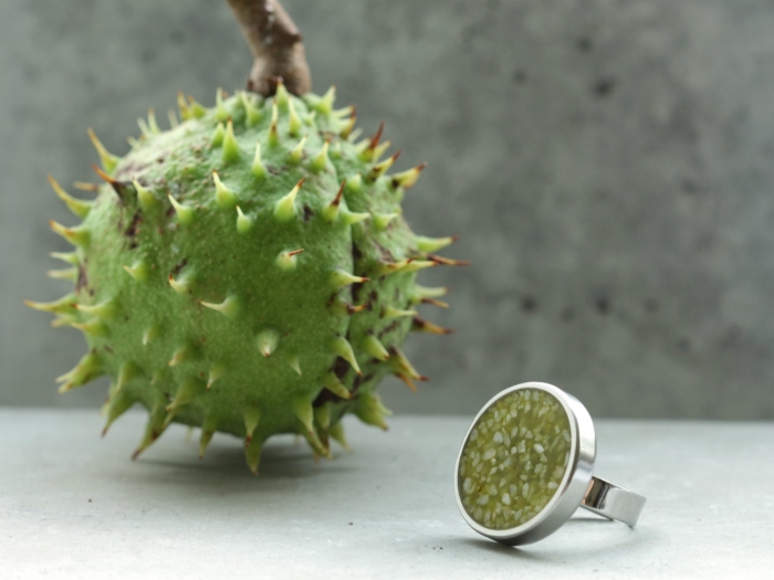 Зелёный фрукт с шипами