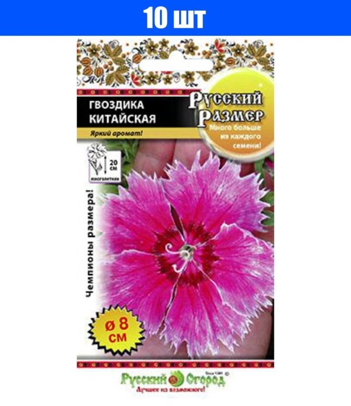 Цветы гвоздика китайская русский размер