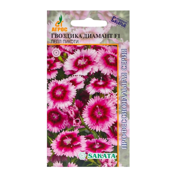 Гвоздика диамант кримсон пикоти