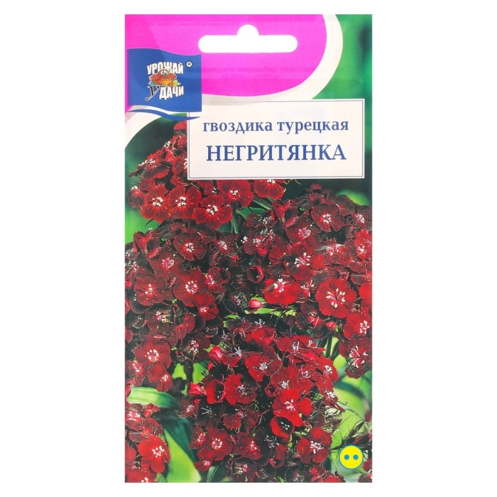 Гвоздика турецкая блэк мэджик