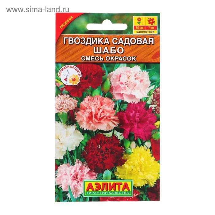 Гвоздика садовая шабо смесь сортов
