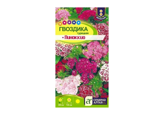 Гвоздика турецкая пиноккио