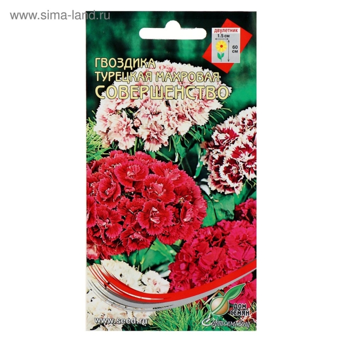 Гвоздика турецкая махровая