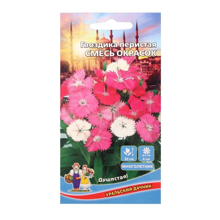 Гвоздика перистая смесь окрасок