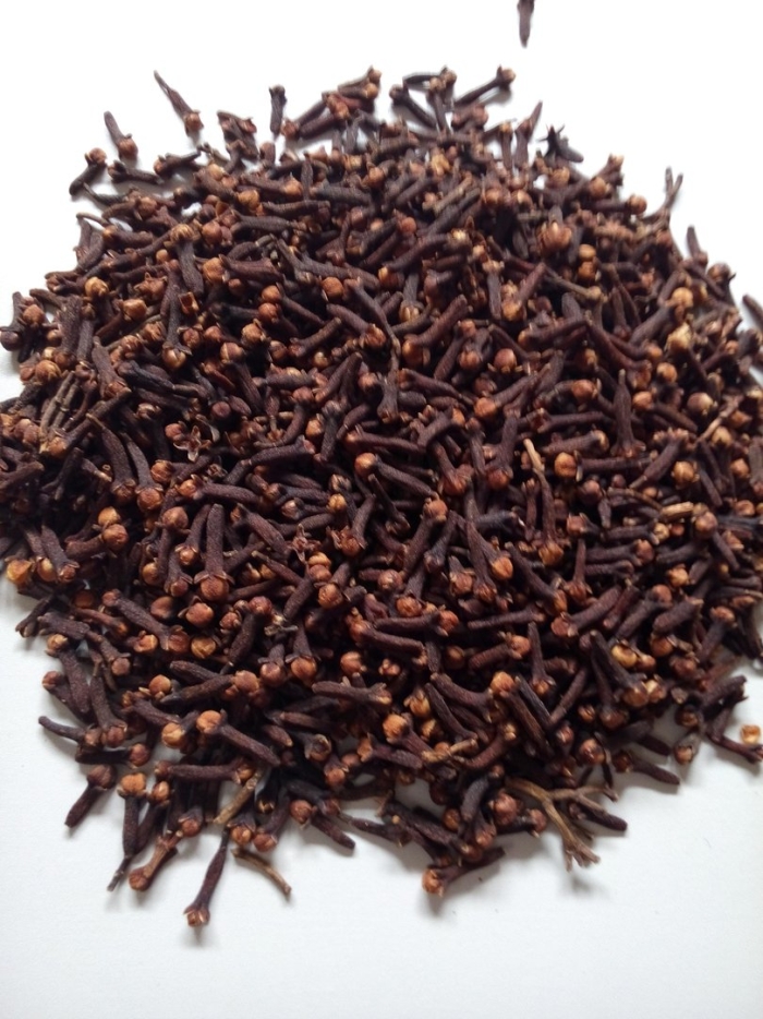 Семена гвоздики
