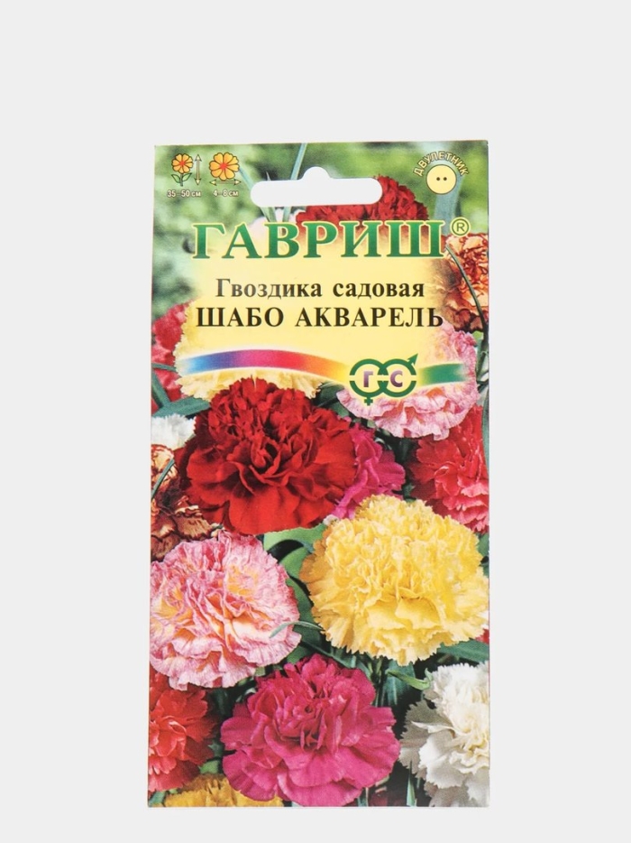 Гавриш гвоздика садовая шабо акварель