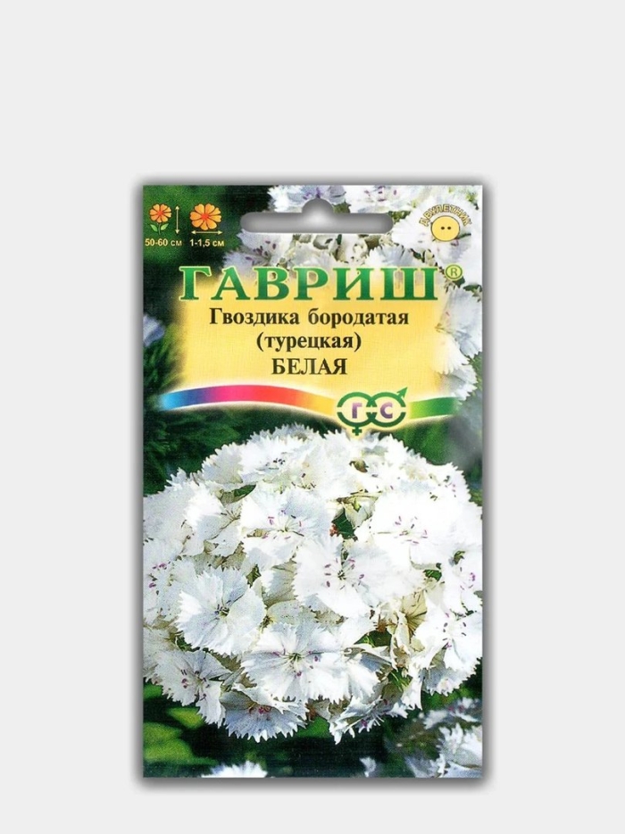 Гвоздика турецкая белая