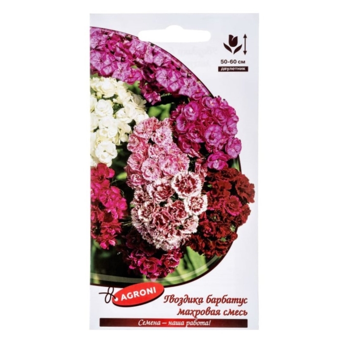 Гвоздика барбатус махровая смесь