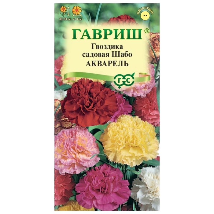 Гвоздика шабо акварель смесь