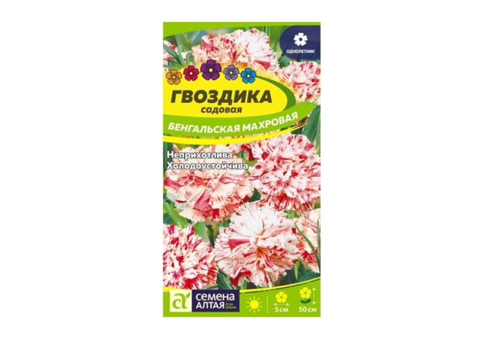 Гвоздика бенгальская садовая