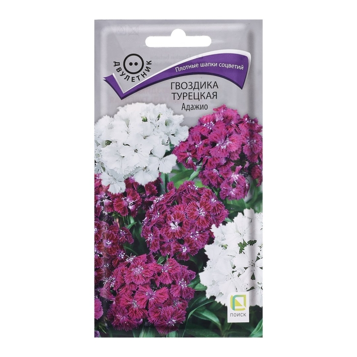 Гвоздика турецкая адажио