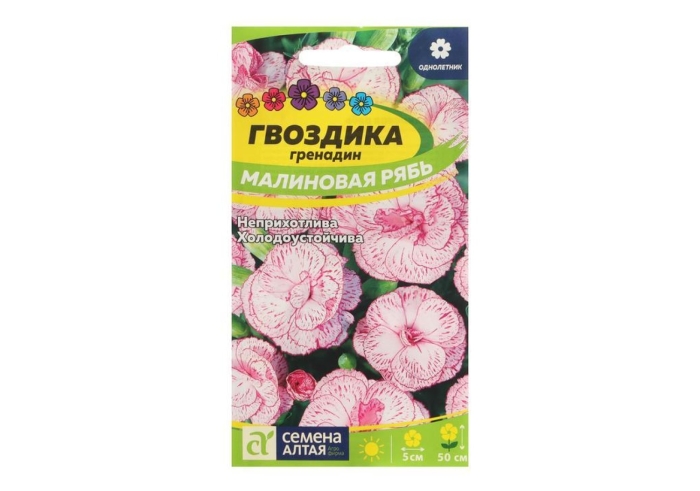 Гвоздика гренадин малиновая рябь