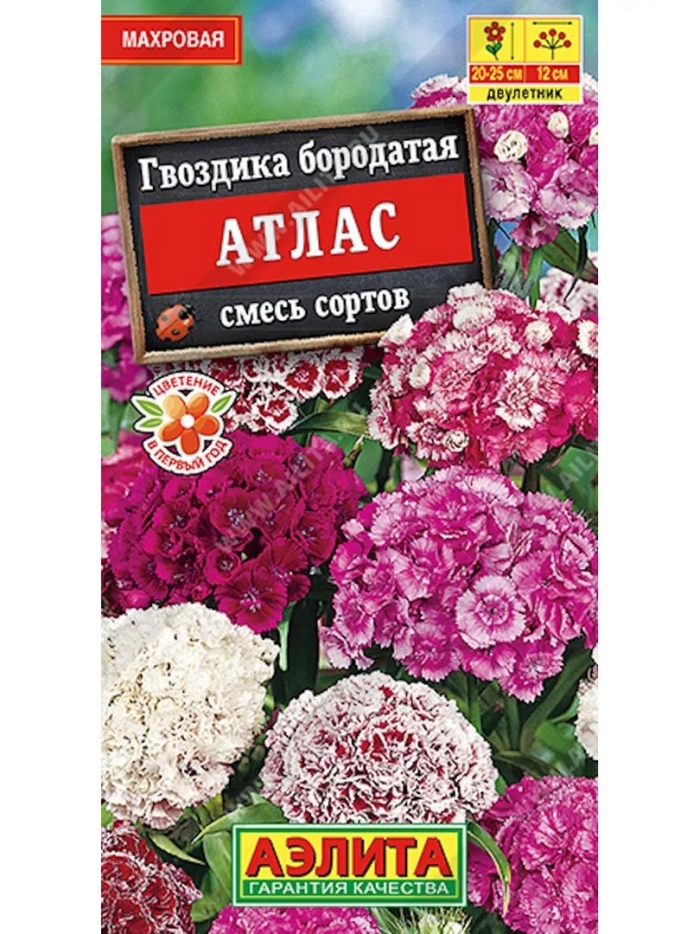 Гвоздика атлас турецкая махровая смесь