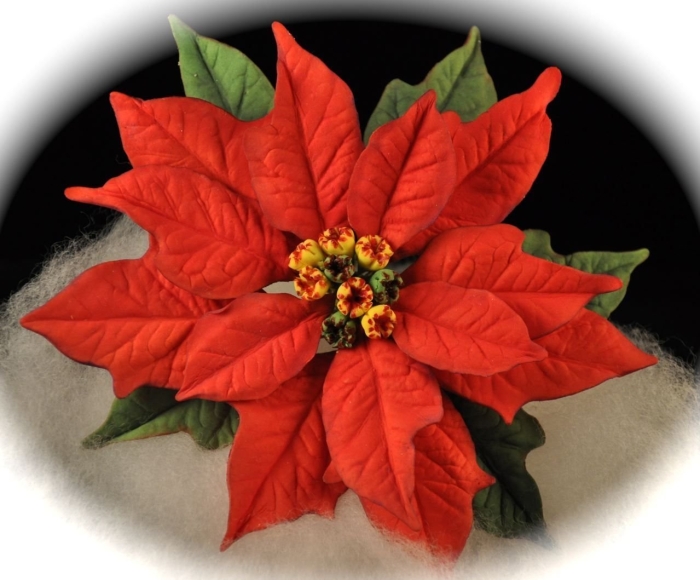 Рождественский цветок пуансетия
