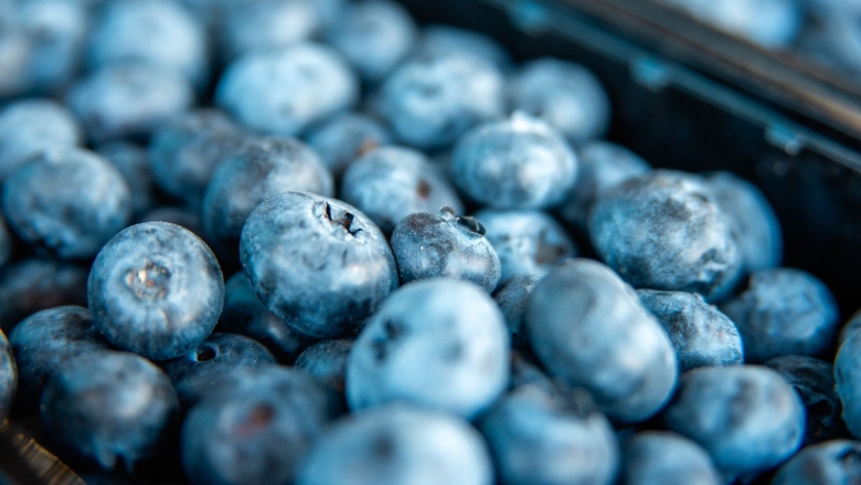 Синие ягоды