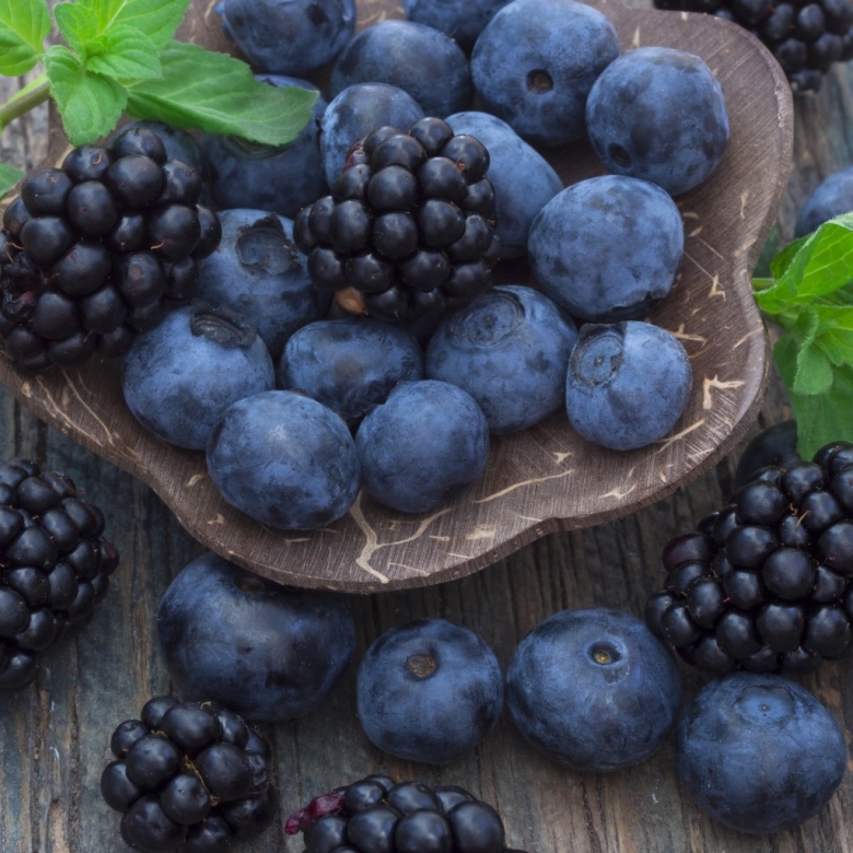 Черника голубика ежевика