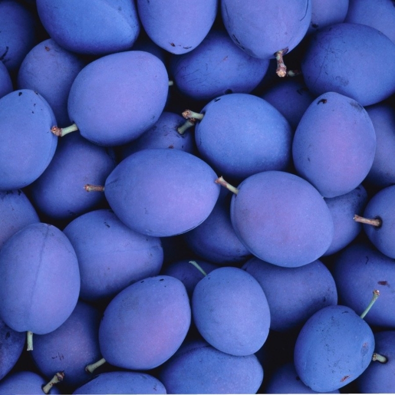 Periwinkle Blue цвет