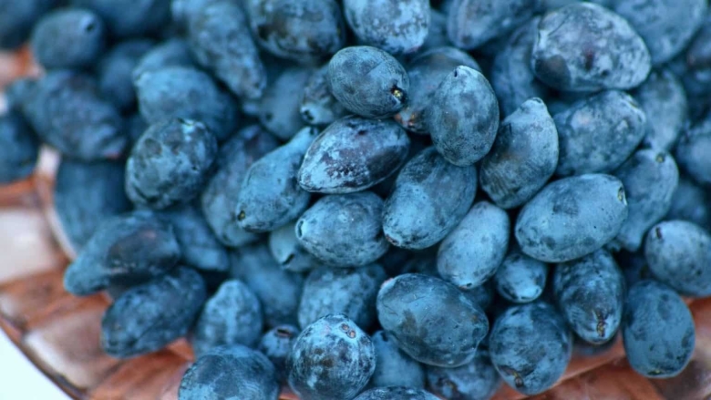 Голубые фрукты и ягоды