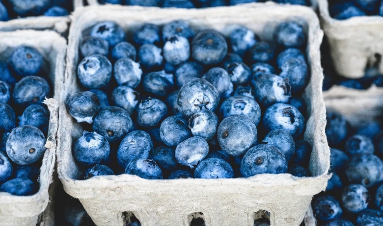 Dried blueberries