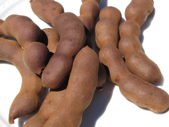 Тамаринд индика