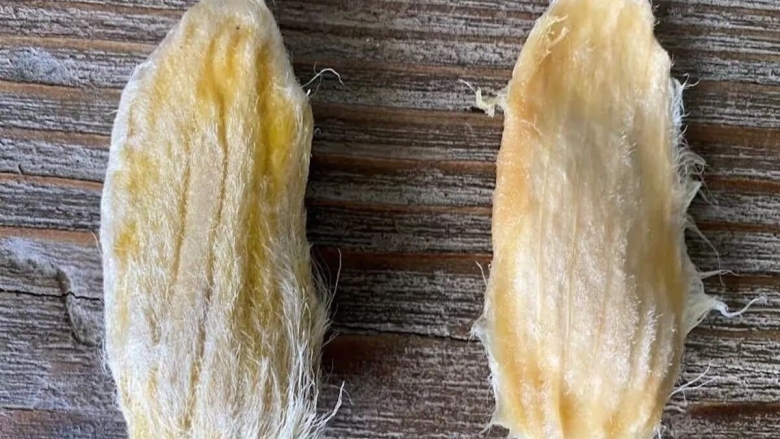 Волокна манго