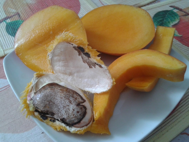 Что внутри косточки манго