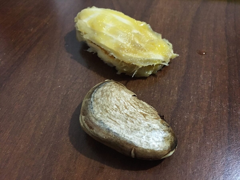 Что внутри косточки манго