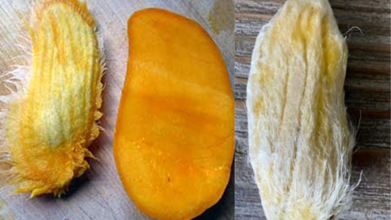 Манго фрукт с косточкой