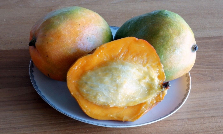 Сорта манго