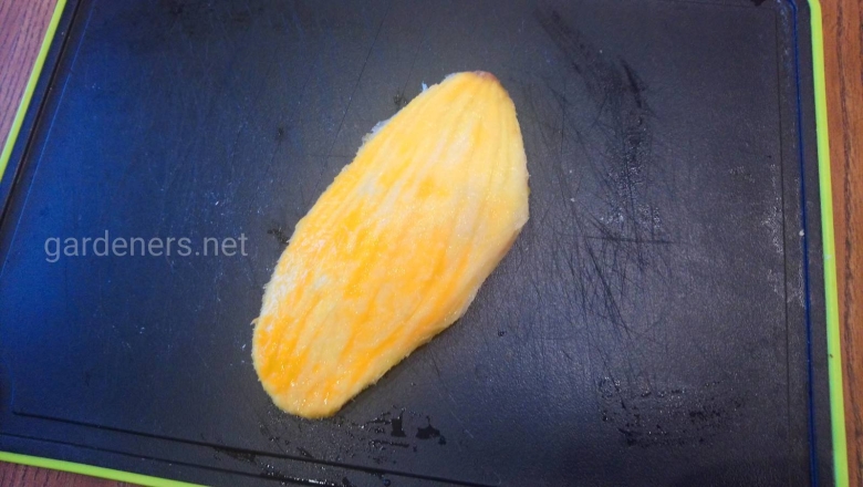 Косточка от манго пушистая