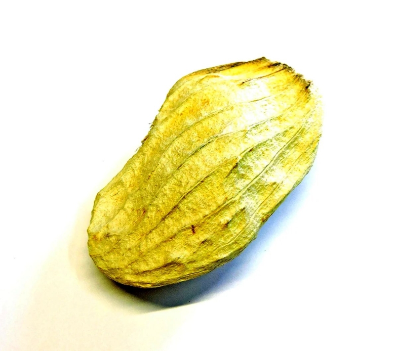 Какая косточка у манго