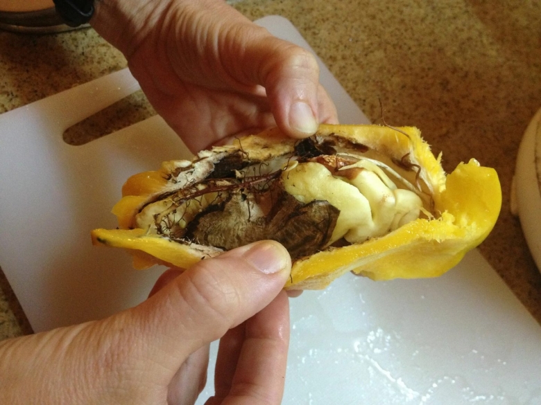 Что внутри косточки манго