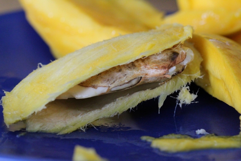 Манго из косточки