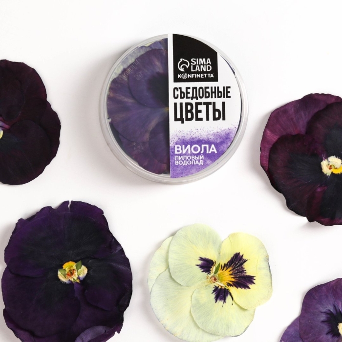 Виола съедобные цветы