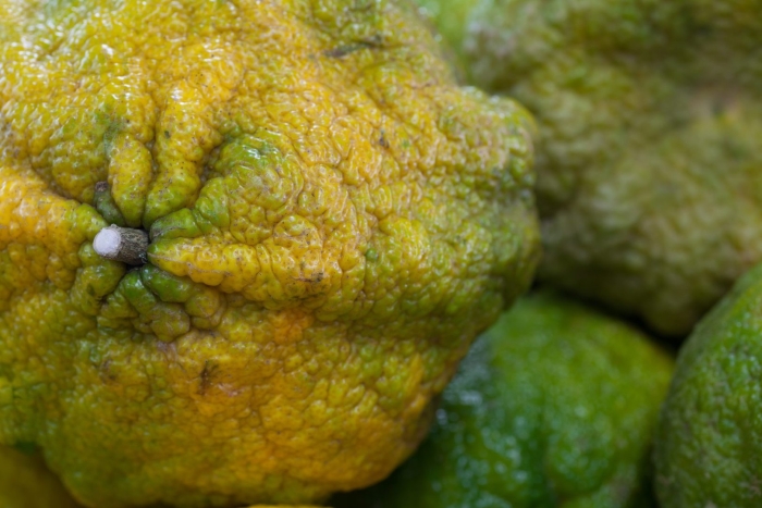 Агли (углифрут)