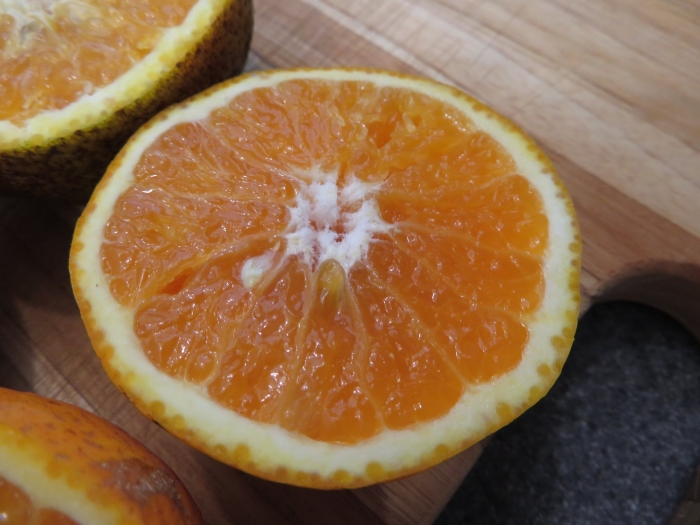 Citrus sinensis