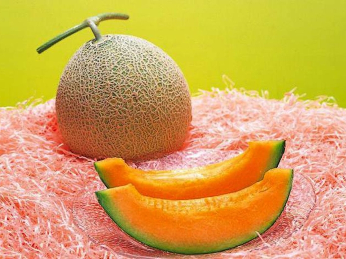 Японская дыня юбари