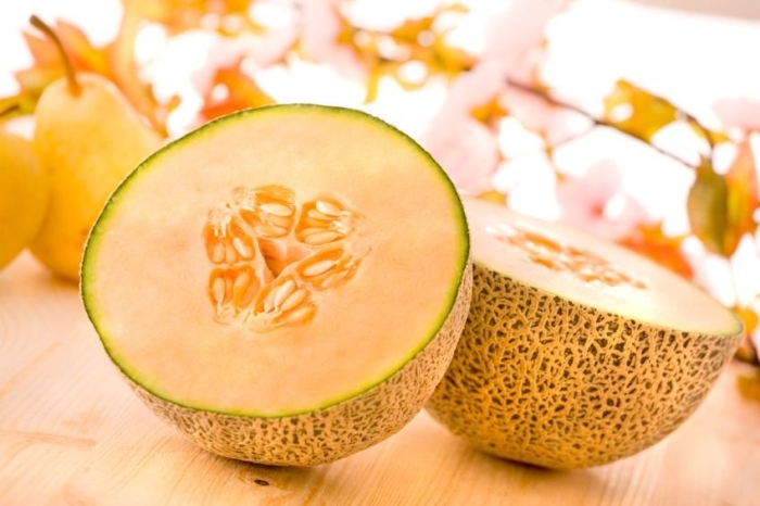 Дыня канталуп