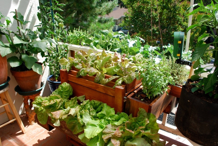 Огород на лоджии