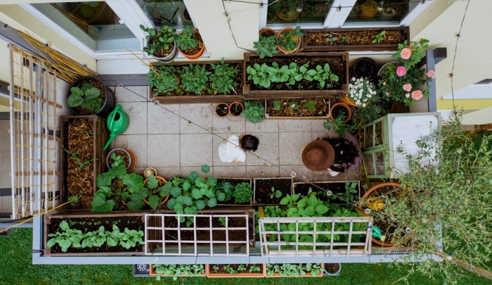 Обустройство огорода