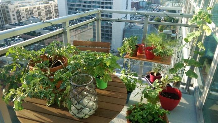 Balcony garden